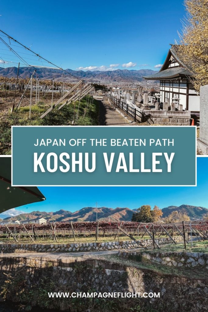 Head off the beaten path in Japan and head to a winery with this Koshu Valley day trip itinerary. Click through to read how to plan your trip.