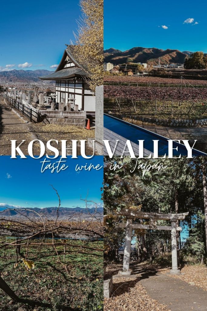 

If you’re trying to decide on a day trip from Tokyo and you love wine, then you have to check out the Koshu Valley. Click through to read how to spend a perfect day here. 