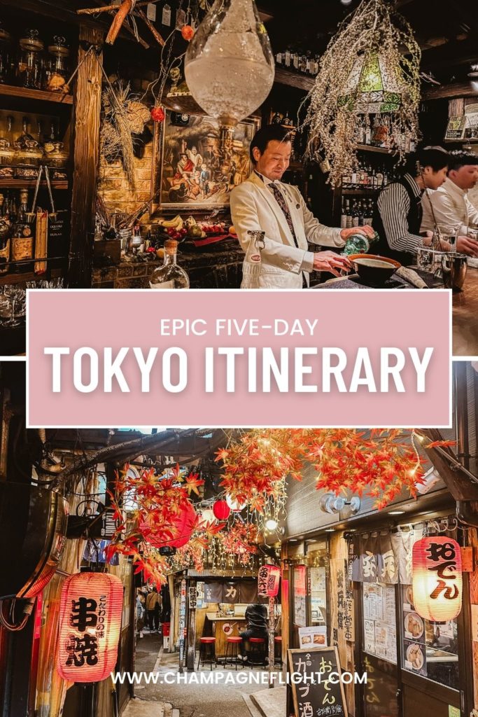 Discover Tokyo's hidden gems with this 5-day Japan travel itinerary, showcasing the best of Tokyo, from iconic sights to local foodie delights. Dive into the heart of Tokyo, Japan, and explore its vibrant neighborhoods!
