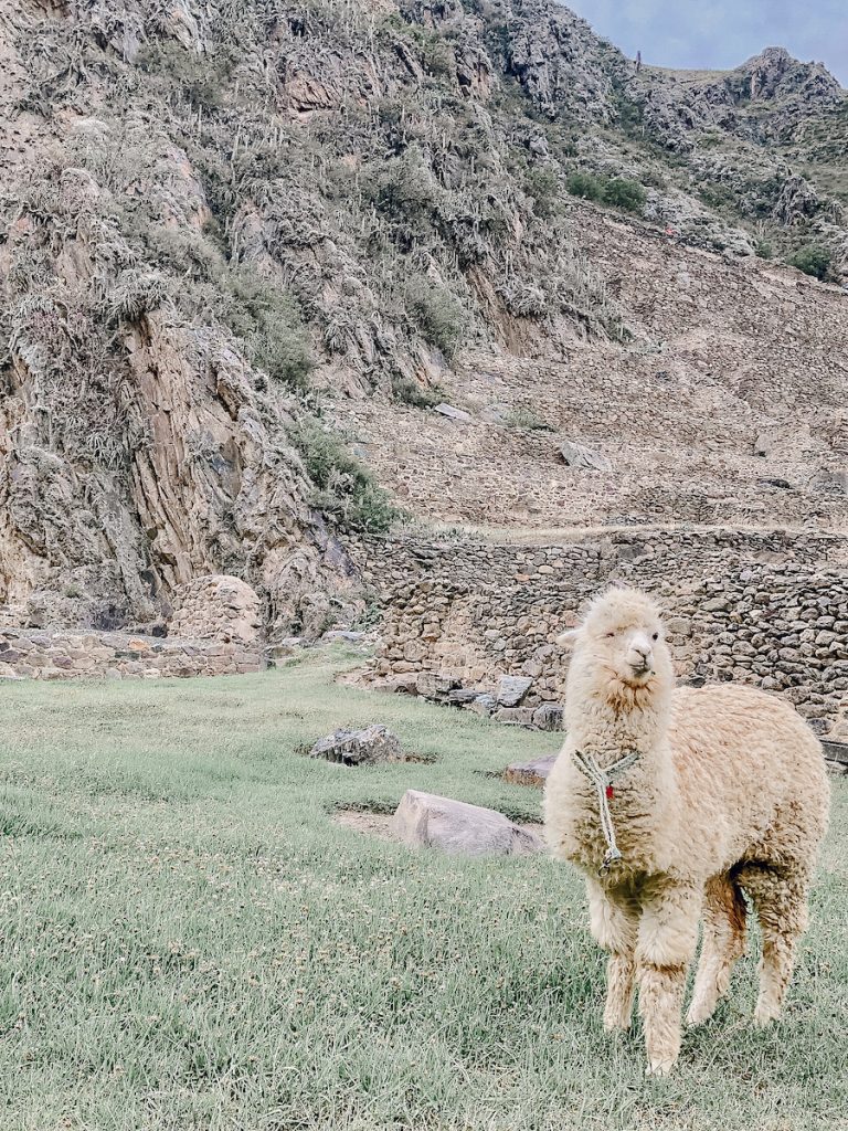 How to Have an Incredible Day Trip to the Sacred Valley