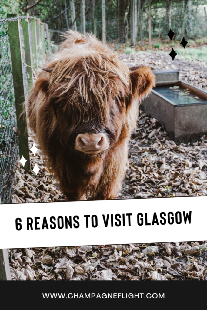 Why visit Glasgow? Glasgow is a wonderful introduction to Scotland with plenty of things to do, see, and eat. Trust me, you won’t be disappointed!