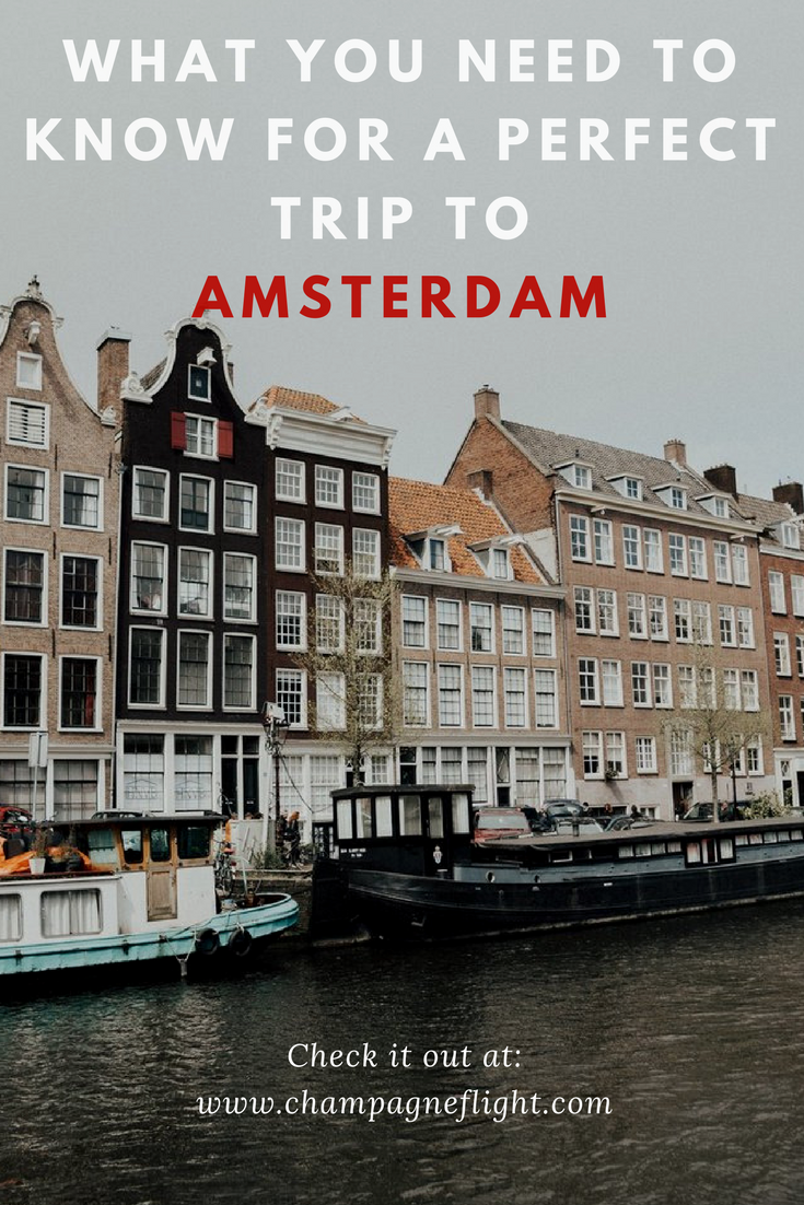 Amsterdam guide