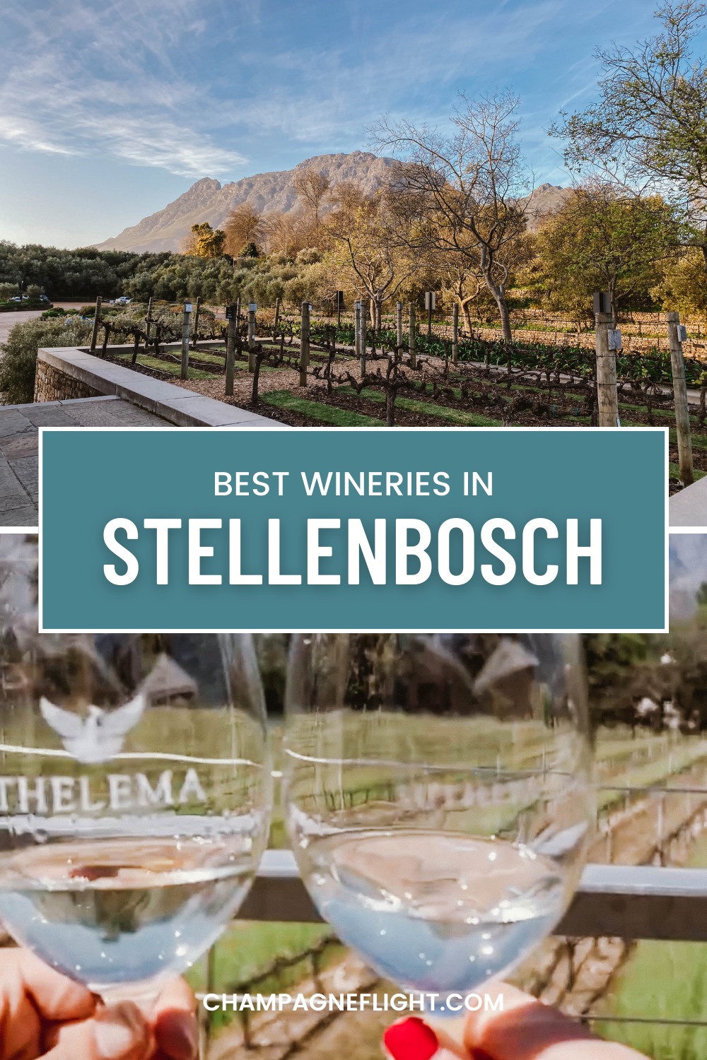 7 of the Best Wineries to Visit in Stellenbosch - Champagne Flight