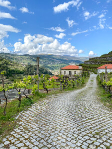 Falling in Love With Wine in Portugal’s Douro Valley