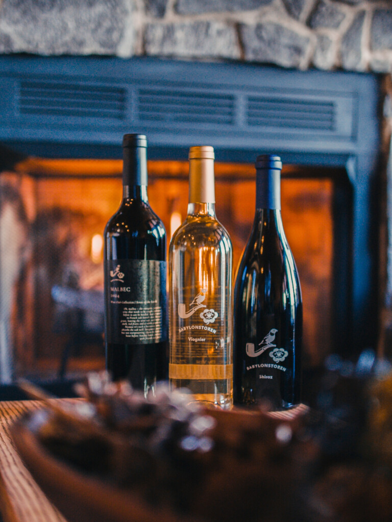 Babylonstoren Wine Club Review: Is It Worth It?