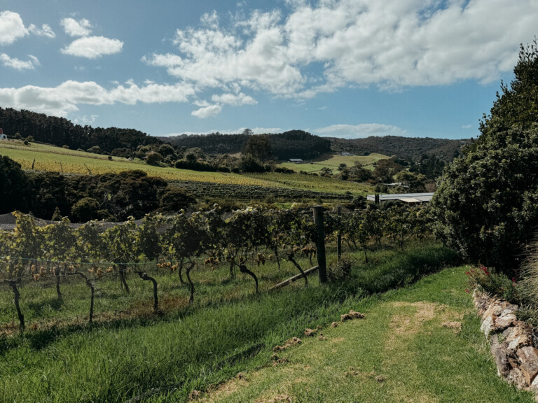 The Perfect Waiheke Island Day Trip for Food & Wine Lovers
